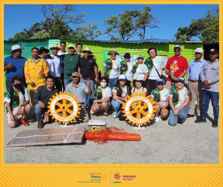 DONACION DE PALMERAS