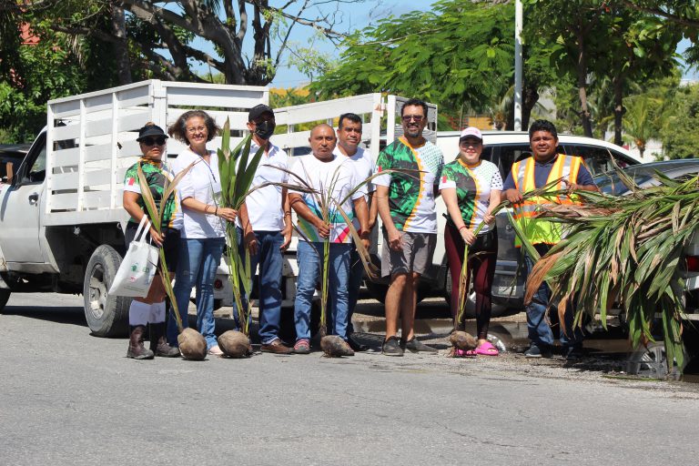 DONACIÓN DE 50 PALMAS DE COCO