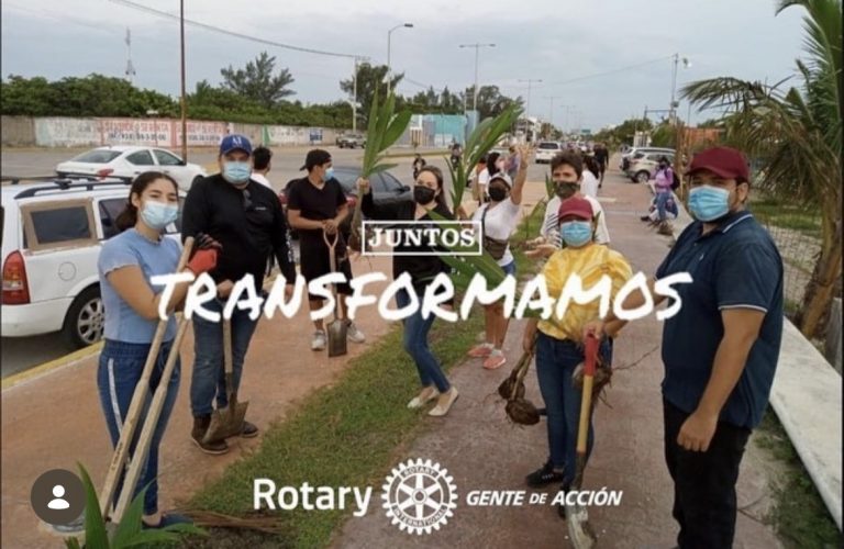 Dia Mundial del medio ambiente