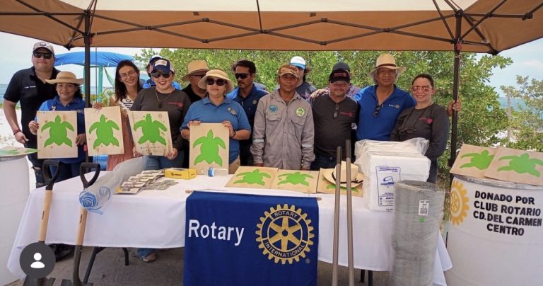 donaciones al Campamento laguna de Términos delfines