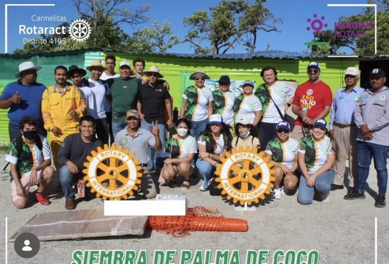 Siembra de Palma de Coco